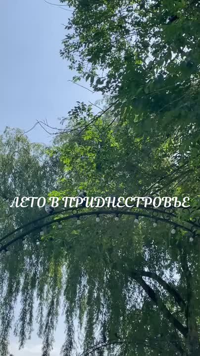    : ,   