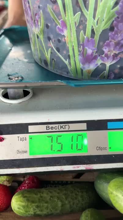      55 ,  - 45,  - 55