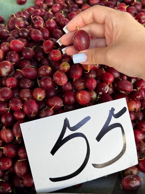 ,       ,      55 