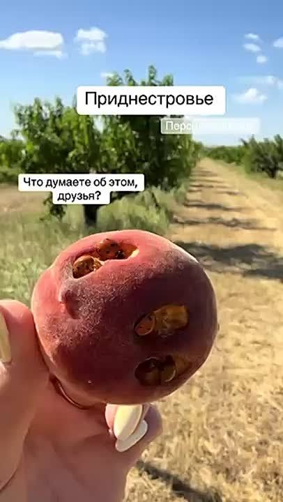      ?