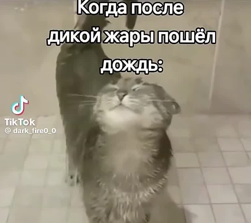  .  :           