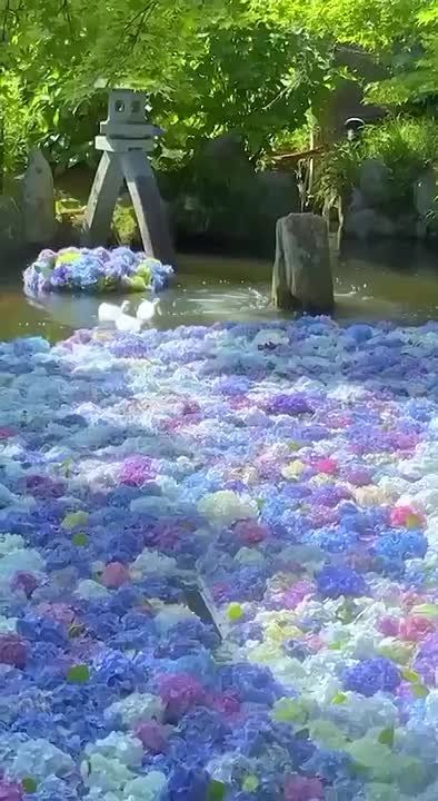   :    