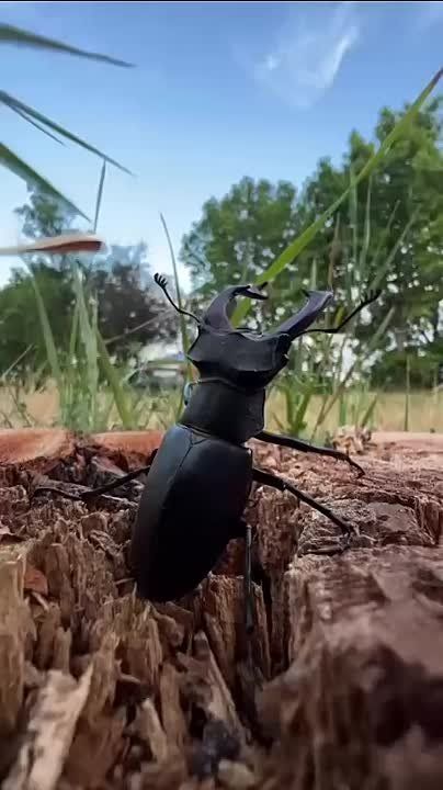 -  . :  