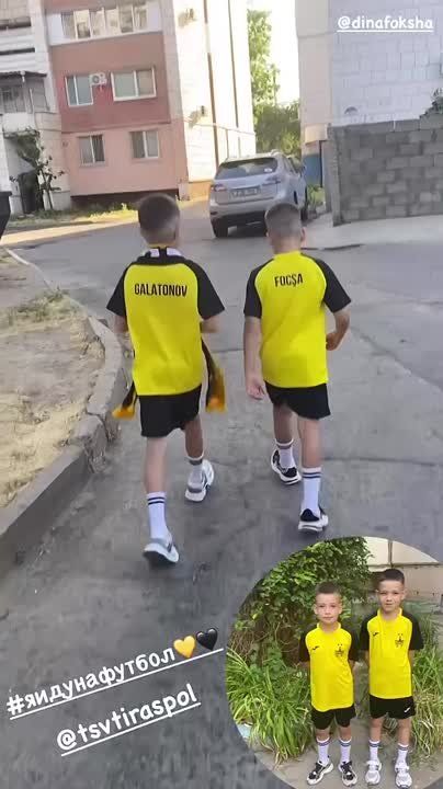       ,    !