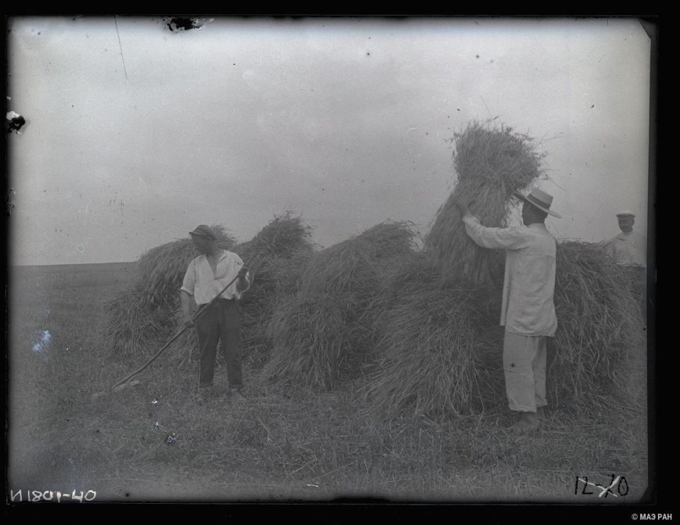  .  -, . , 1929 