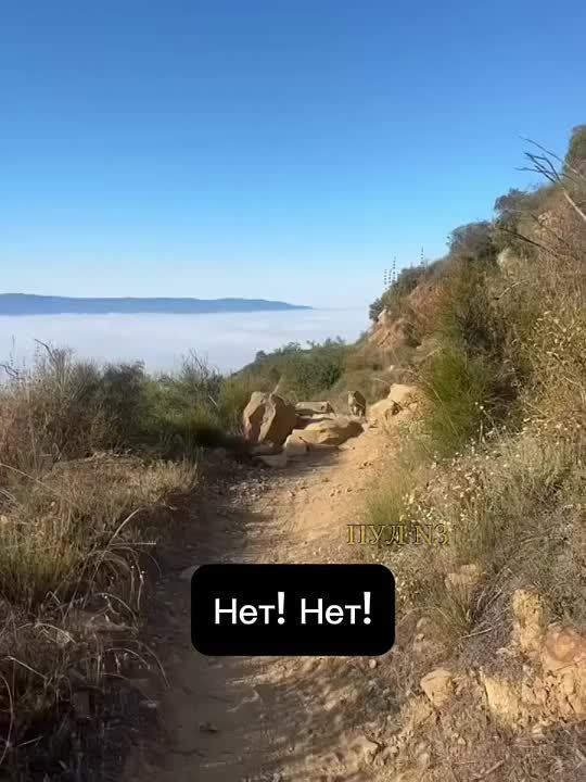 ! ! !  :