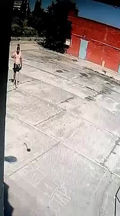    :  ,     ,       