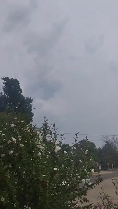    :  ,      ,  