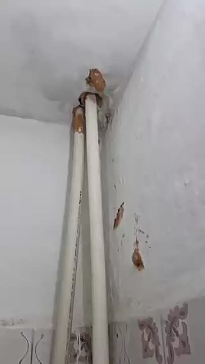           6.       