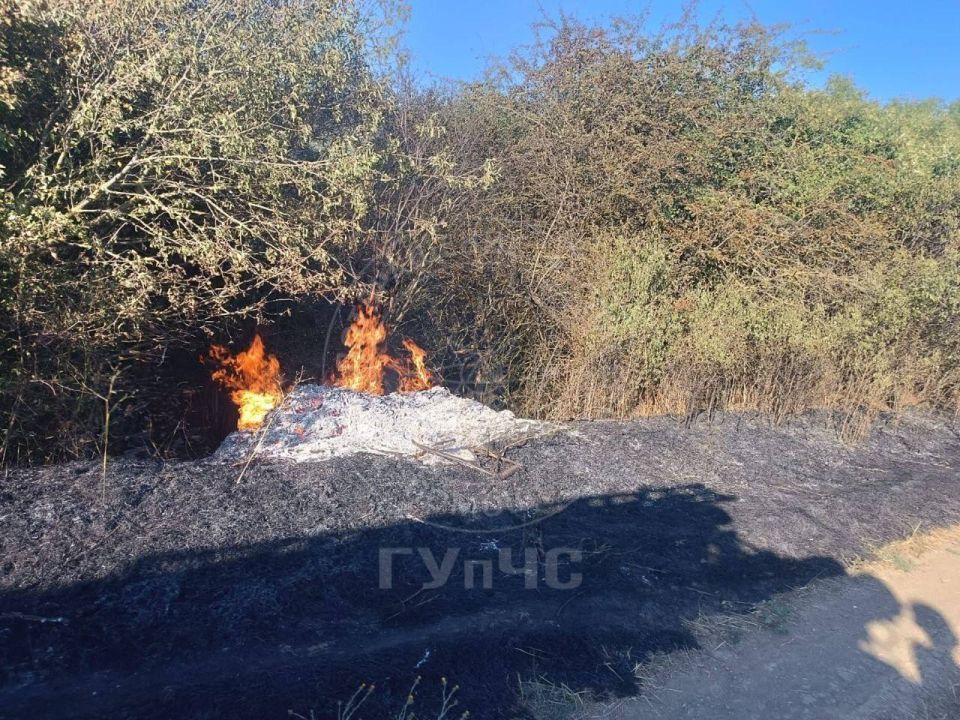 Гектары сгоревшей сухой травы Гектары сгоревшей сухой травы