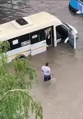    ,          