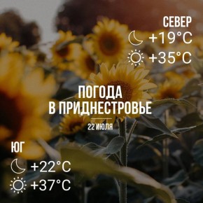    +37,     