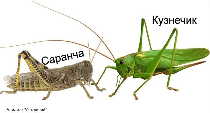       ,   ,      