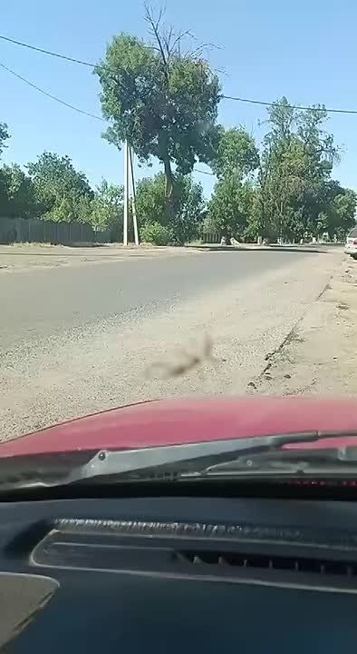   ?     