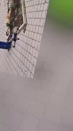    .  ,   ,       