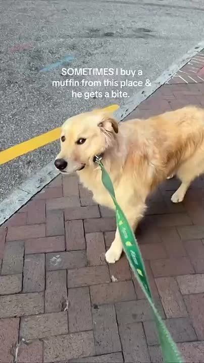     ,      :  ,   ,       ,    