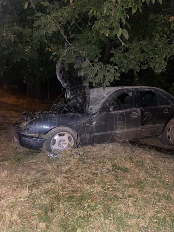 Врезался в дерево и загорелся Врезался в дерево и загорелся