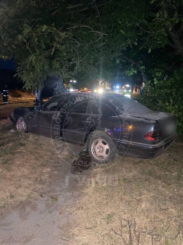 Врезался в дерево и загорелся Врезался в дерево и загорелся