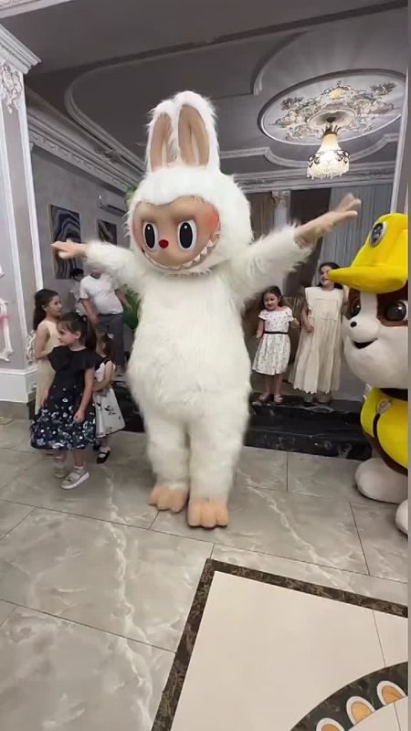 -,   -    