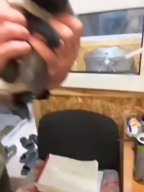  :      ,              
