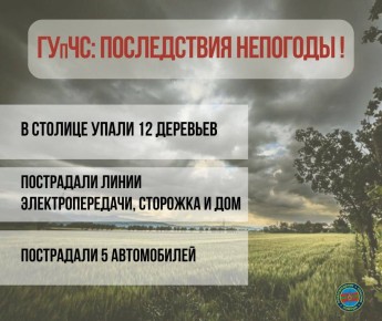       12 ,  5    