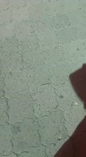      ,  ,   