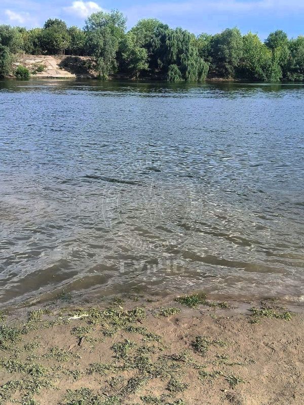 ПРОИСШЕСТВИЕ НА ВОДЕ. Сегодня в столице на центральном пляже спасли 8-летнюю девочку