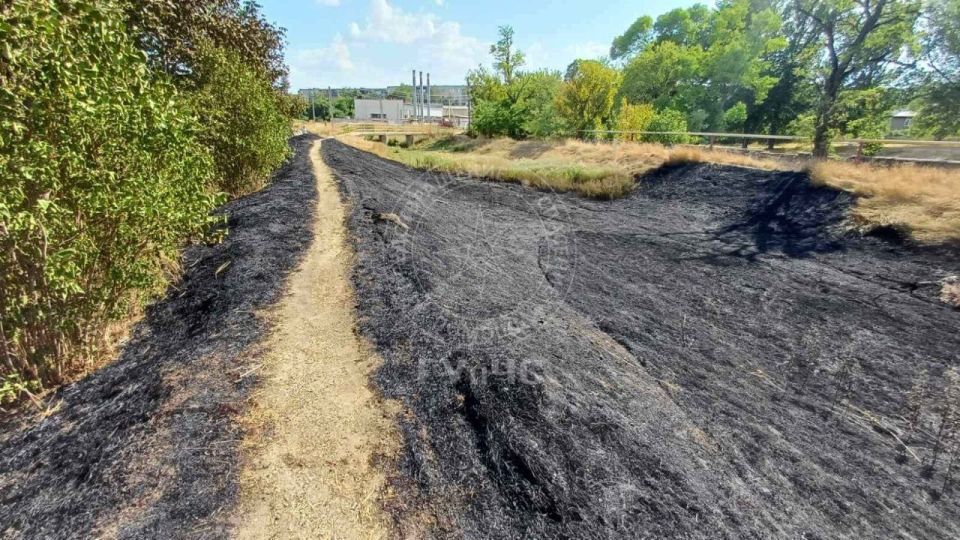 Вчера в Григориополе горела сухая трава в парке около церкви на улице Шевченко