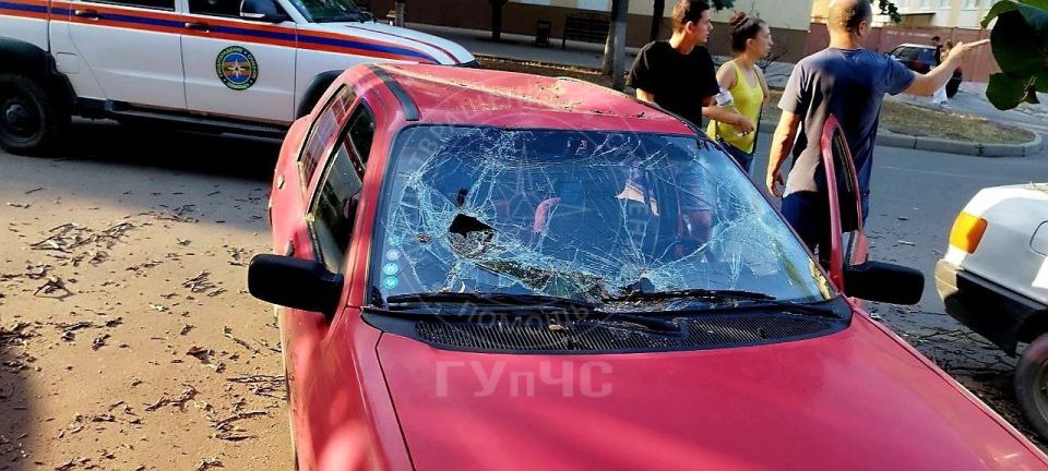 Вот, что бывает, если парковаться под деревьями