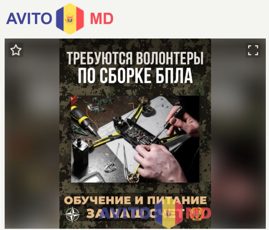  :   ,  ..   &quot;&quot;,    ,    ,    