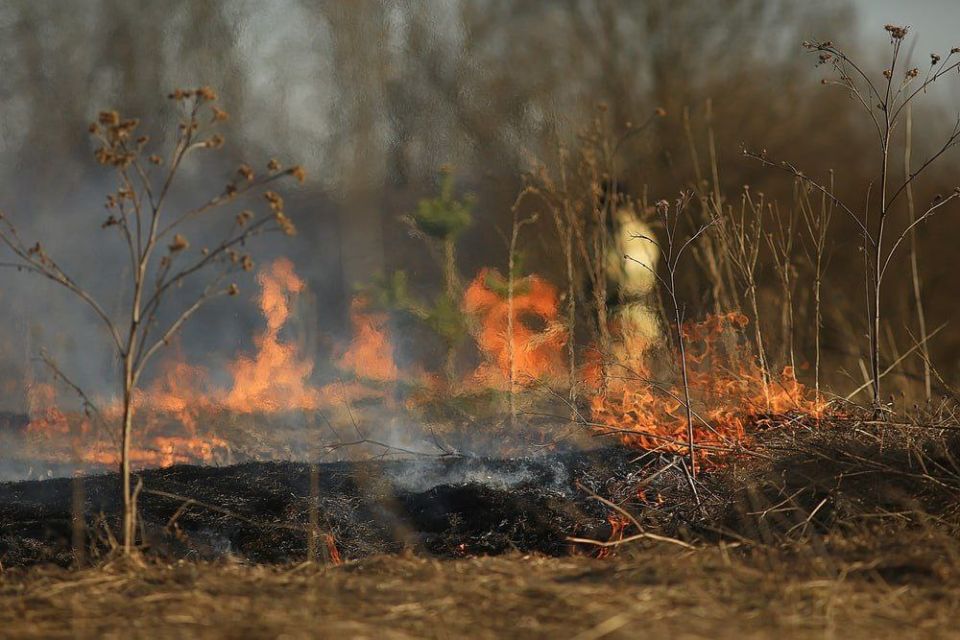 Пожар в Парканах