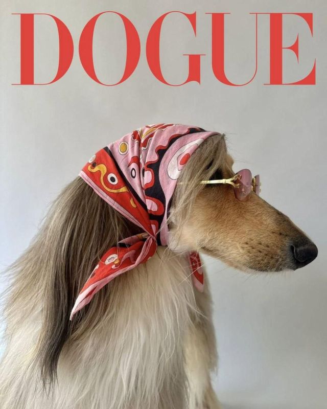  Vogue     