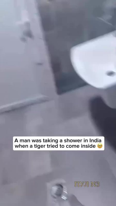        :     ,      