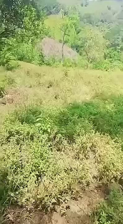      ,   ,     