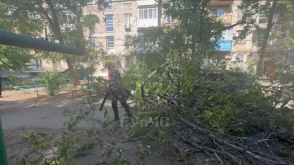 В столице на улице Каховской, днём 24 августа, дерево от сильного ветра упало на «Жигули»