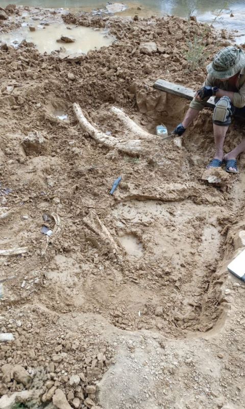   ,   20   ,     