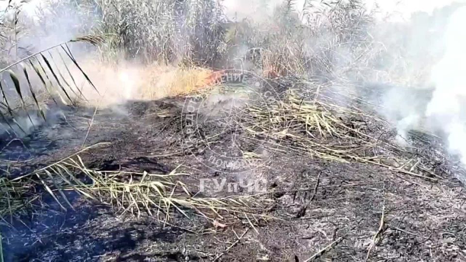 В Незавертайловке горит камыш и трава на дамбе в районе рыбхоза
