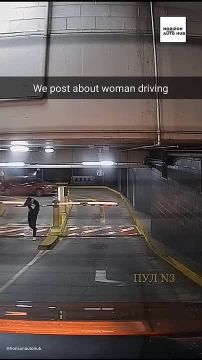       :                  ,   ,    