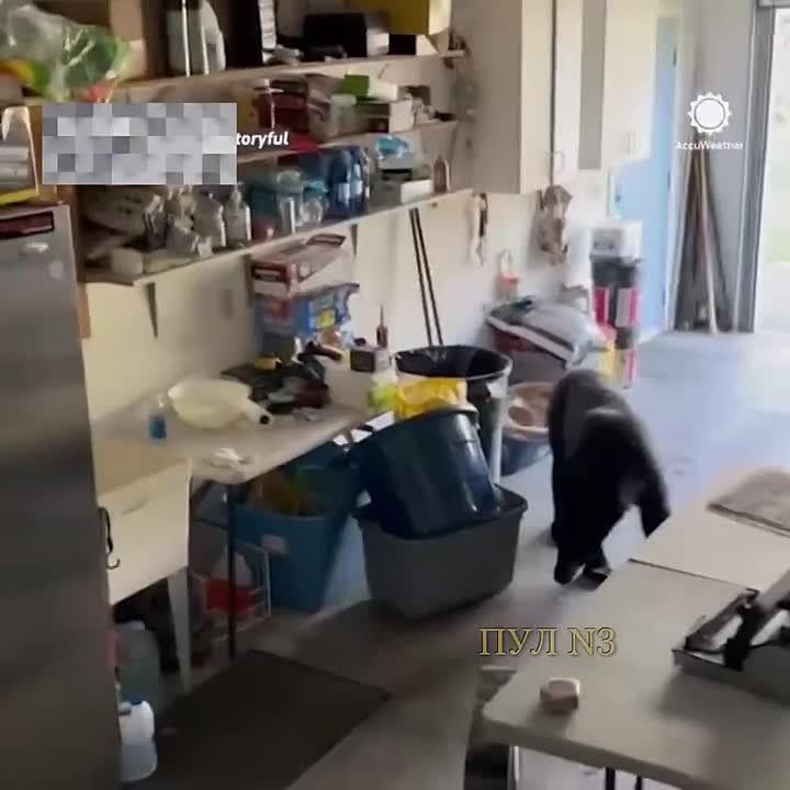       :