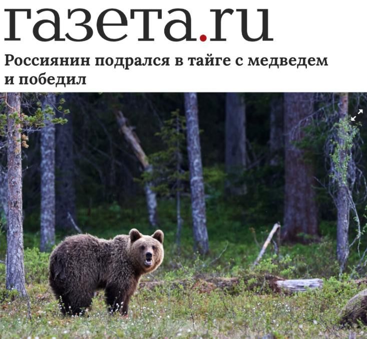 «Россиянин подрался в тайге с медведем и победил»: Ничего особенного, обычная новость из России