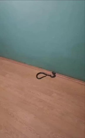    .          5- 
