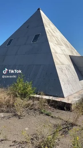      ( )