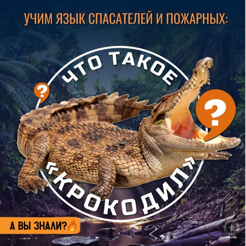 #:   &quot;&quot;  