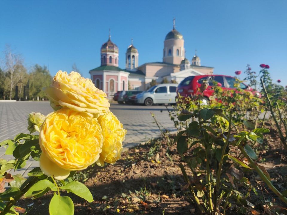 На улице по-летнему тепло, но в каждом кадре уже ощущается дыхание осени На улице по-летнему тепло, но в каждом кадре уже ощущается дыхание осени