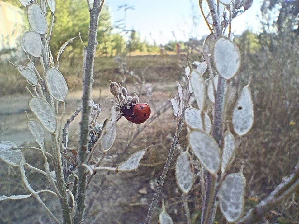 На улице по-летнему тепло, но в каждом кадре уже ощущается дыхание осени На улице по-летнему тепло, но в каждом кадре уже ощущается дыхание осени