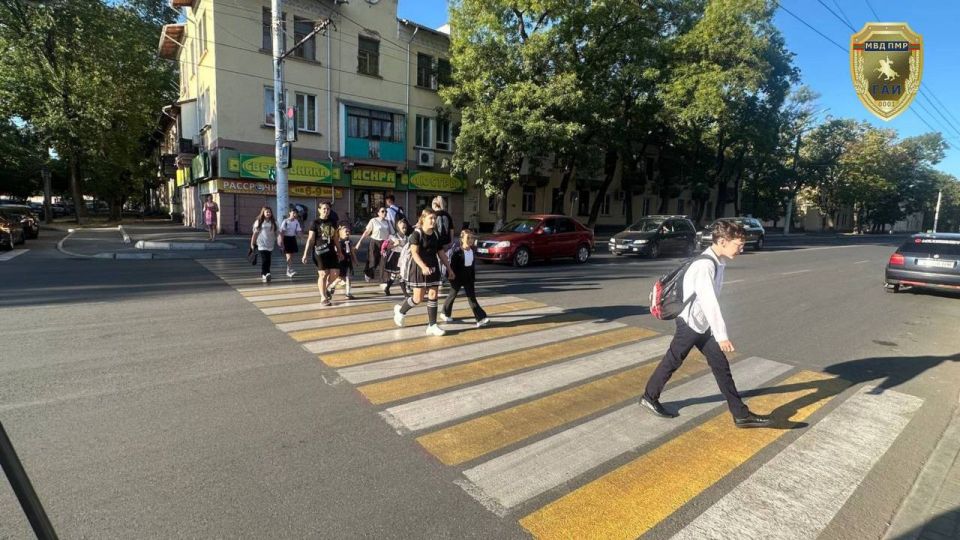 Более 1,7 тысячи нарушений ПДД за неделю: итоги декады «Внимание: дети!» Более 1,7 тысячи нарушений ПДД за неделю: итоги декады «Внимание: дети!»