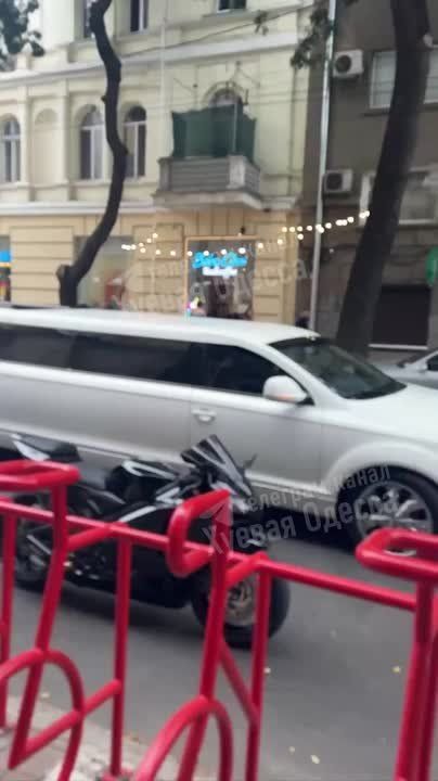 В одесском ресторане с размахом отметили День рождения собаки, которая приехала на лимузине