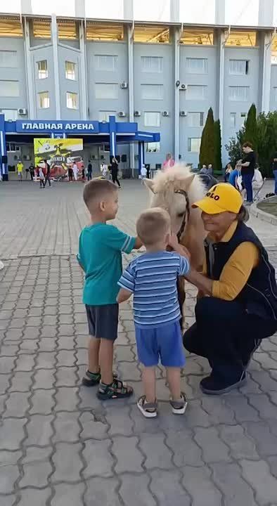 Маленькие мужчины гладят маленькую лошадь