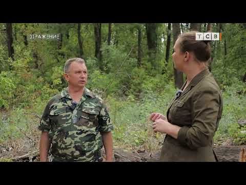 В Приднестровье начали готовиться к зиме