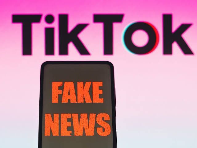 TikTok отклонил 95% запросов молдавских властей на блокировку дезинформационного контента, заявил Виорел Чернэуцану
